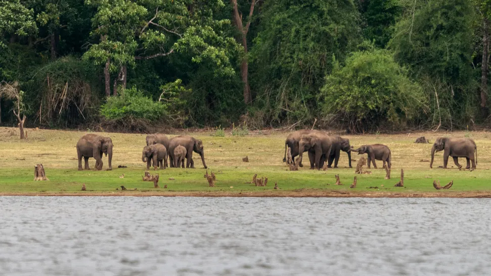 Kabini Is one of the best places to visit in may in south india