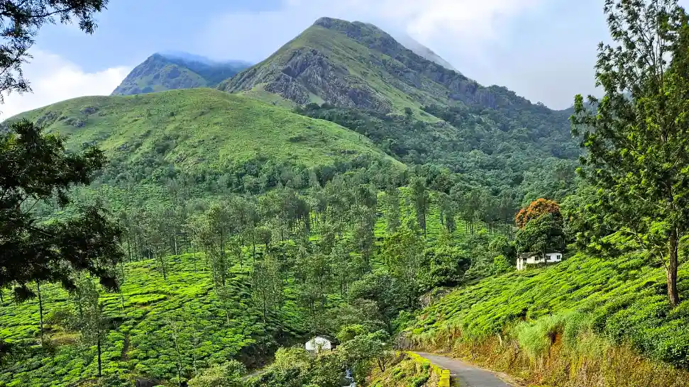 Wayanad Is one of the best places to visit in may in south india