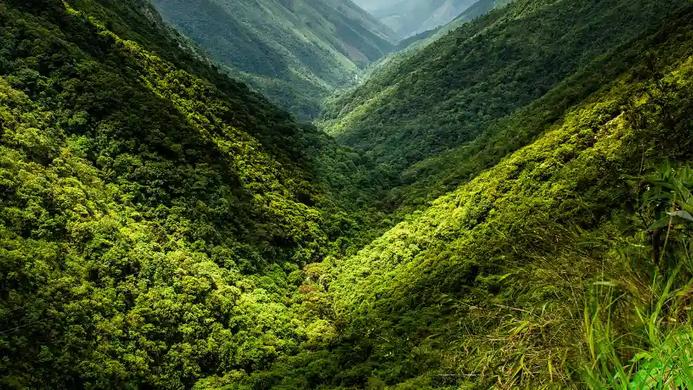 Mawkdok Dympep Valley is One of The Best Places to Visit in Meghalaya