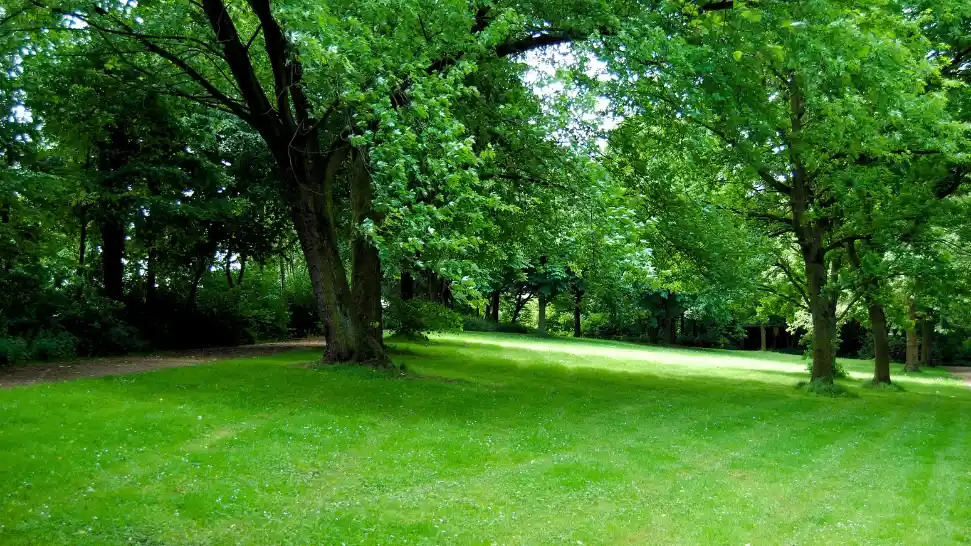 Thangkharang Park is One of The Best Places to Visit in Meghalaya