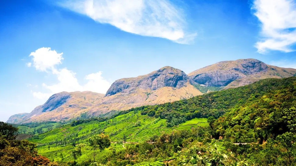 Anamudi Peak is One of The Best Places to Visit in Munnar
