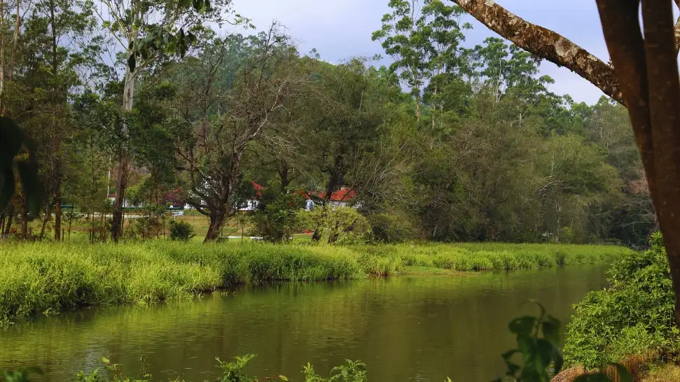 Blossom Park is One of The Best Places to Visit in Munnar