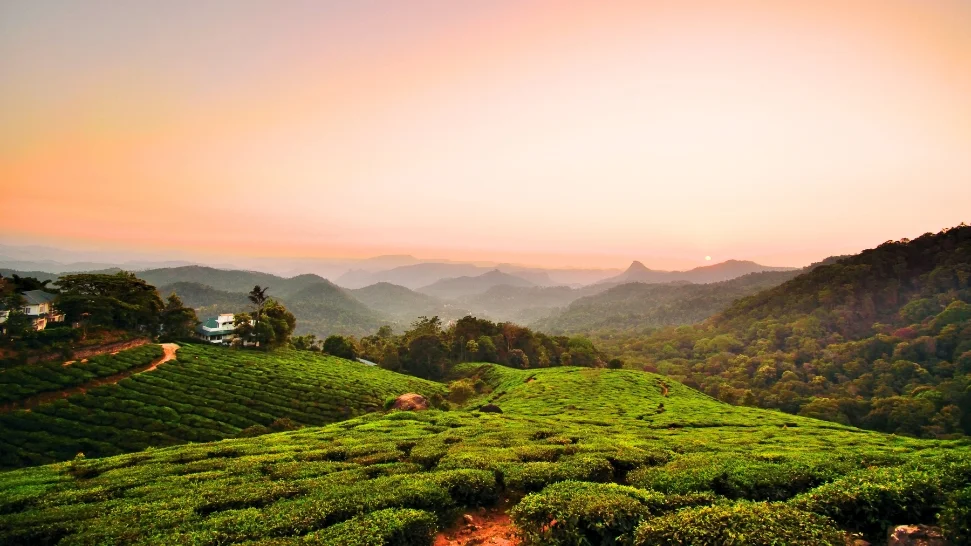 Chithirapuram is One of The Best Places to Visit in Munnar