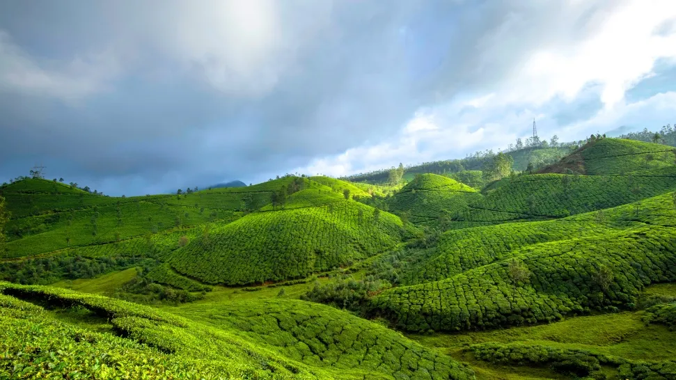 Devikulam is One of The Best Places to Visit in Munnar