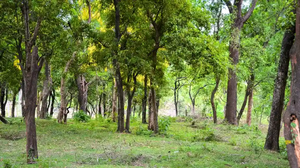 Marayoor is One of The Best Places to Visit in Munnar