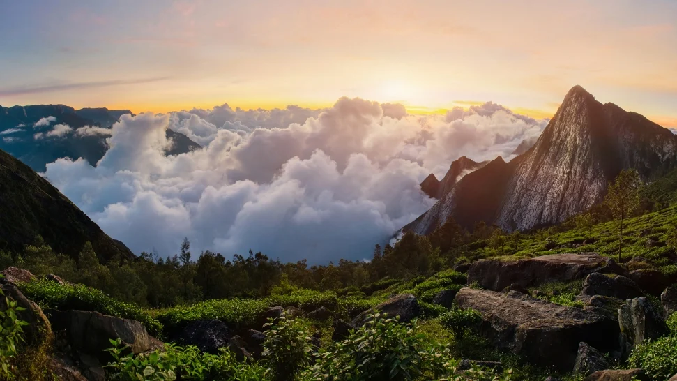 Meesapulimala is One of The Best Places to Visit in Munnar