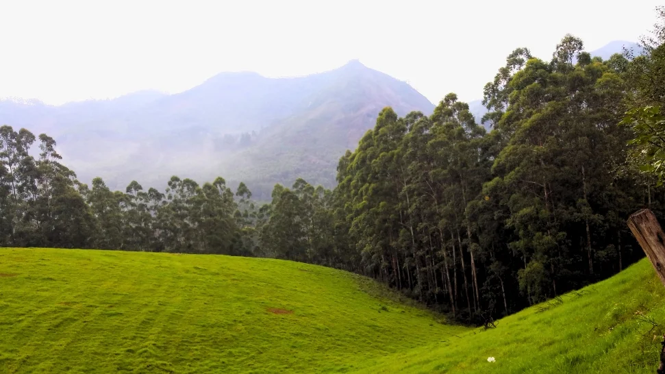 Photo Point is One of The Best Places to Visit in Munnar