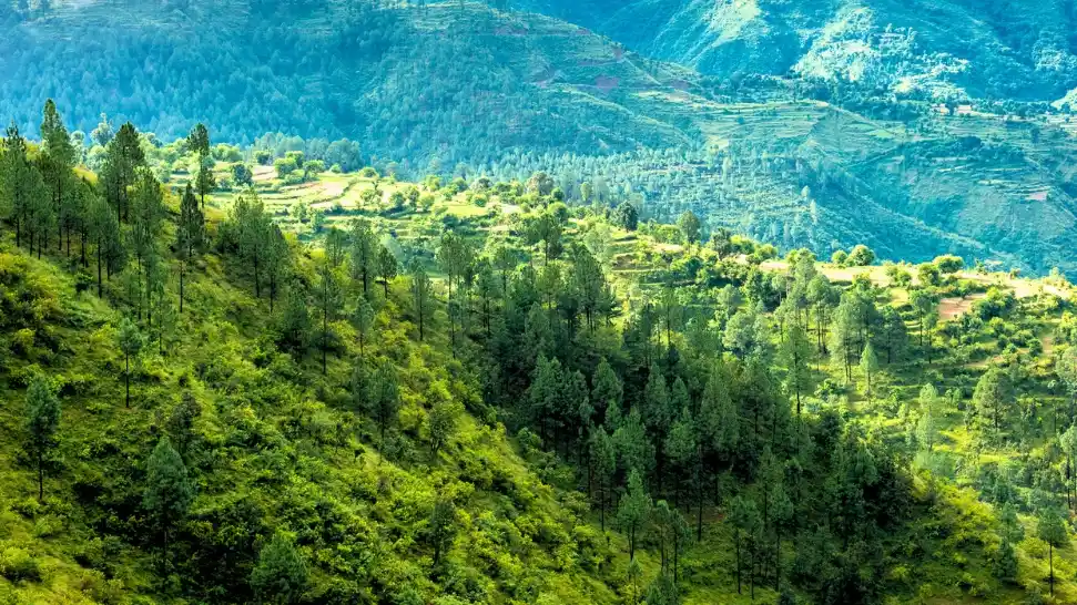 Benog Wildlife Sanctuary is One of The Best Places to Visit in Mussoorie