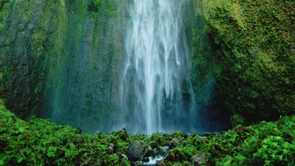 Jharipani Falls is One of The Best Places to Visit in Mussoorie