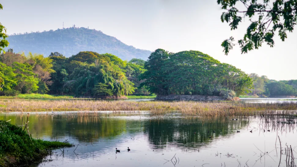 Karanji Lake is One of The Best Places to Visit in Mysore