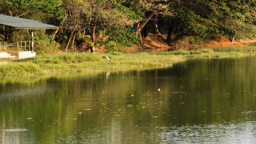 Kukkarahalli Lake is One of The Best Places to Visit in Mysore