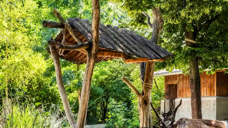 Shuka Vana is One of The Best Places to Visit in Mysore