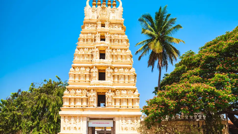 Trinesvaraswamy Temple is One of The Best Places to Visit in Mysore