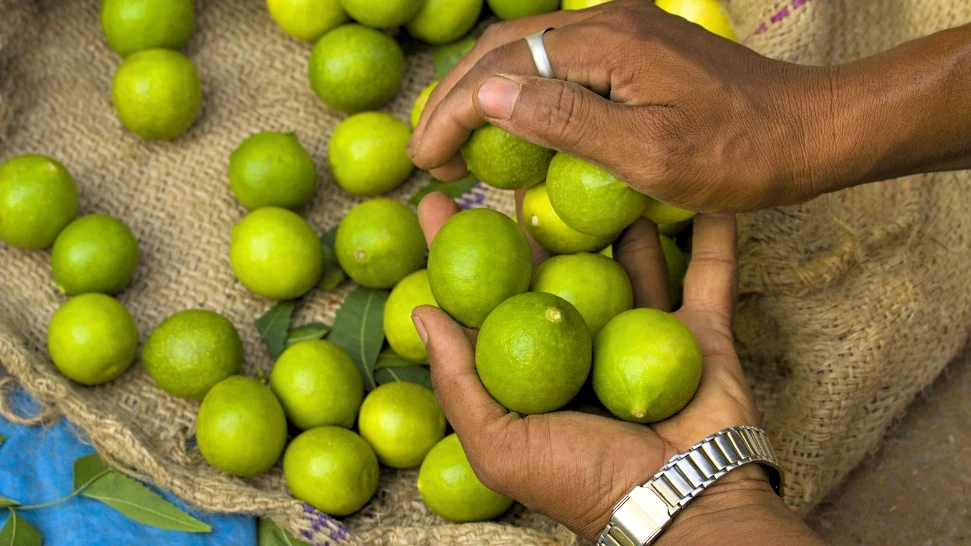 Bicholim is One of The Best Places to Visit in North Goa