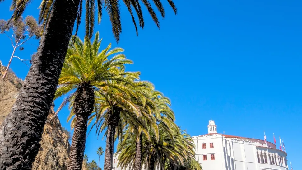 Casino Palm is One of The Best Places to Visit in North Goa