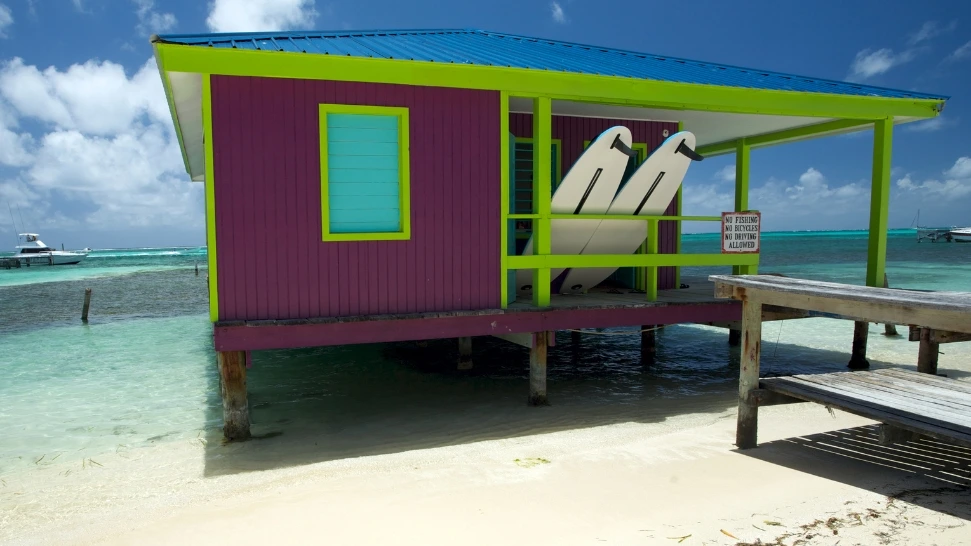 Curlies Beach Shack is One of The Best Places to Visit in North Goa