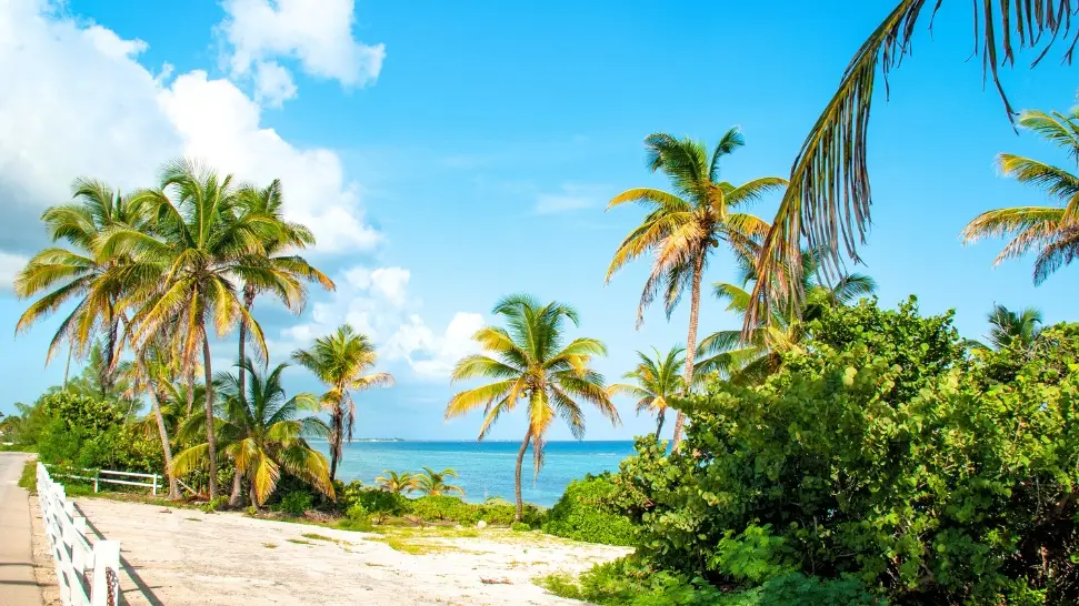 Grande Island is One of The Best Places to Visit in North Goa