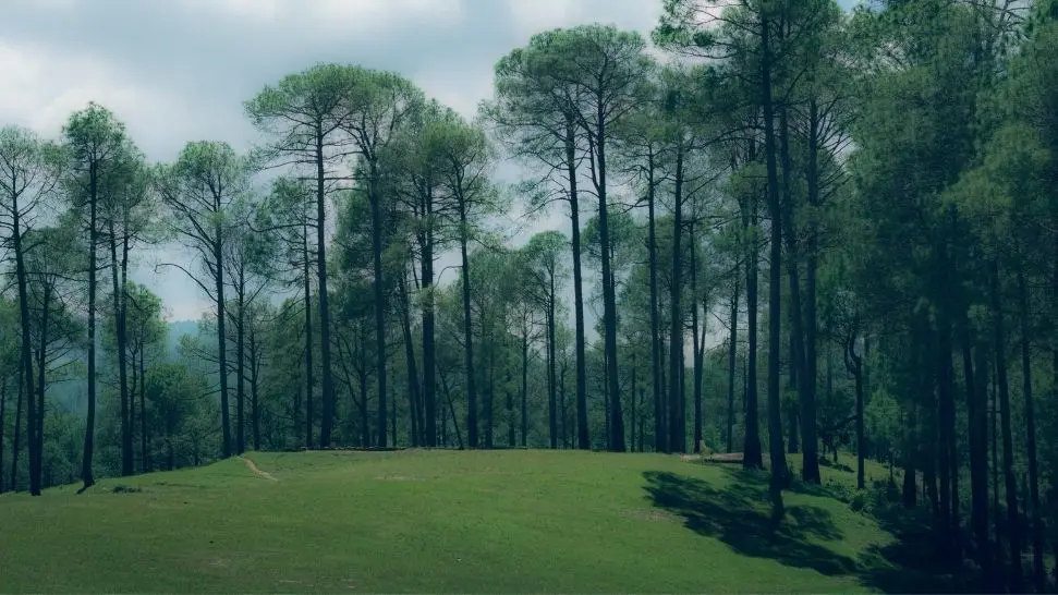 Ranikhet is one of the best places to visit in North India