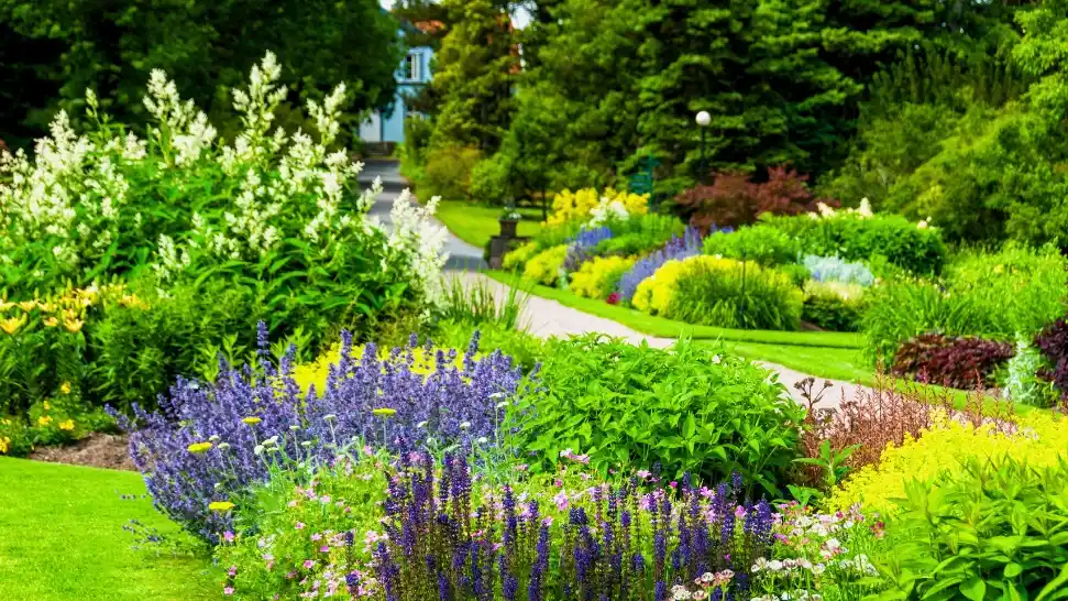 Botanical Gardens is One of The Best Places to Visit in Ooty