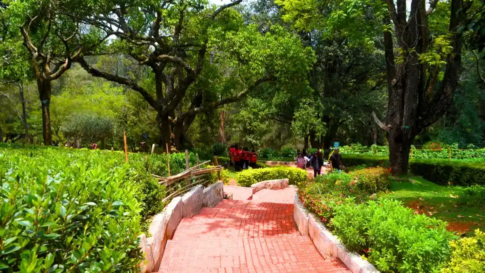 Sim's Park is One of The Best Places to Visit in Ooty