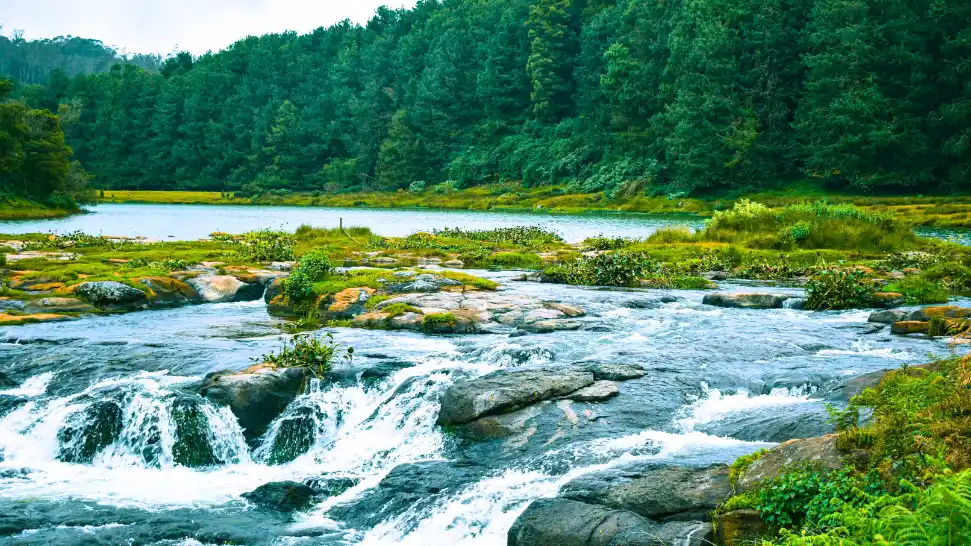 Spectacular Kalhatty Waterfalls cascading through lush greenery near Ooty during monsoon.