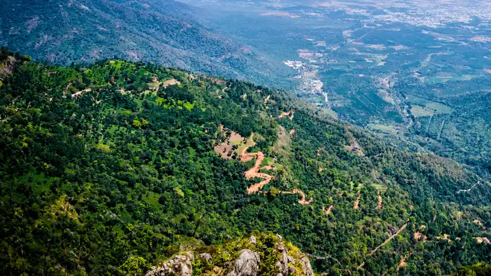 Breathtaking panoramic view of mist-covered valleys and rolling hills from Needle View Hillpoint.