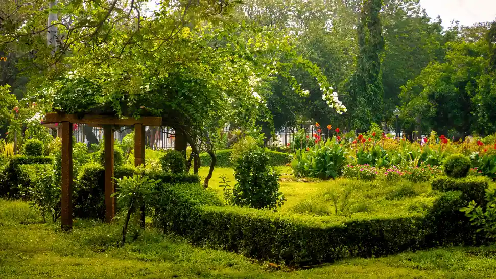 Botanical Garden is One of The Best Places to Visit in Pondicherry