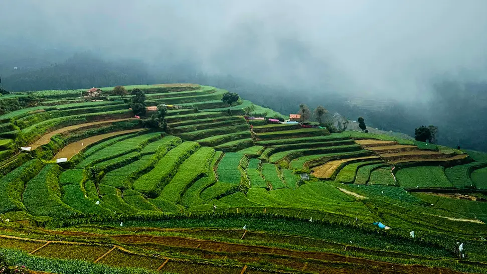 Kodaikanal
