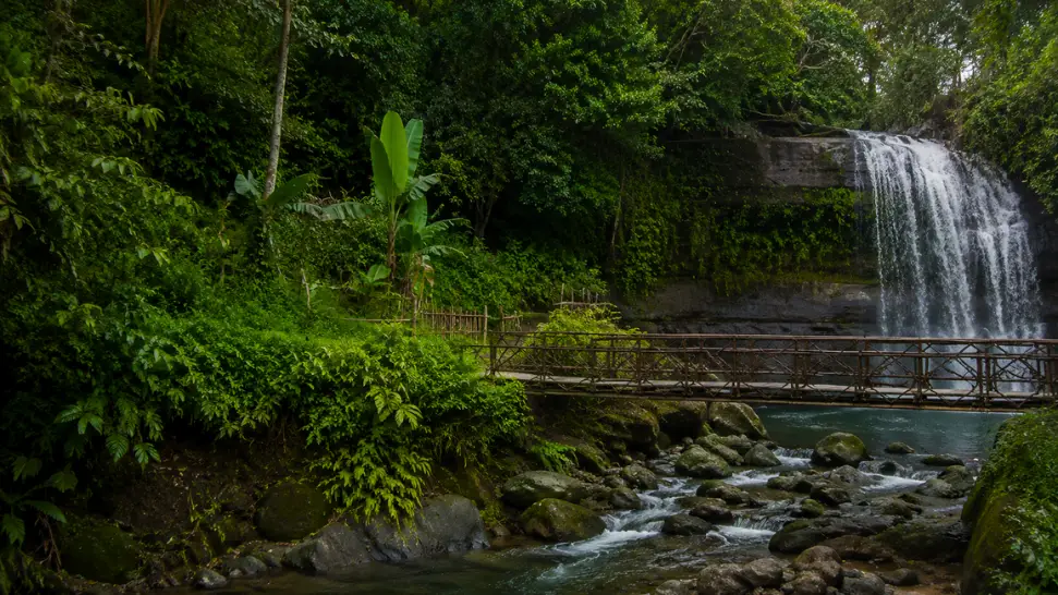 Mawlynnong Village