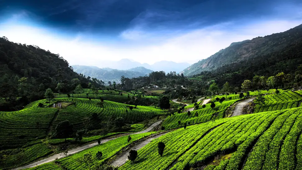 Munnar