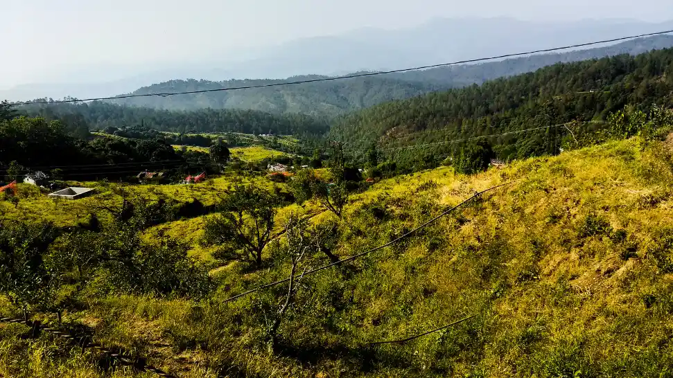 Ranikhet