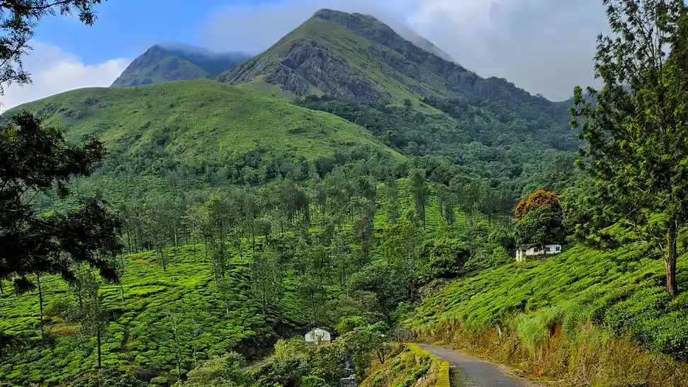 Wayanad