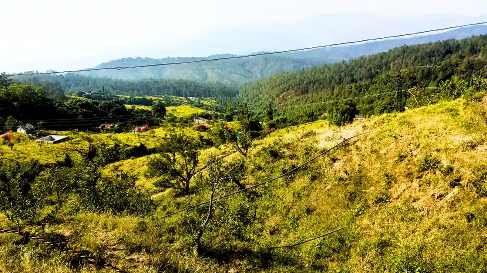 One of The Best Places to Visit in Ranikhet