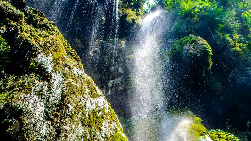 Patna Waterfall is One of The Best Places to Visti in Rishikesh
