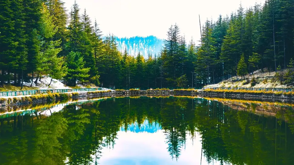 Tani-Jubber Lake is One of The Best Places to Visit in Shimla