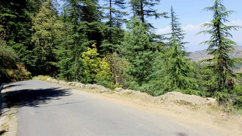 The Glen is One of The Best Places to Visit in Shimla