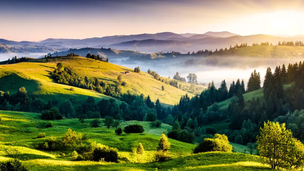 Kodaikanal is One of The Best Places to Visit in Summer in India with Family