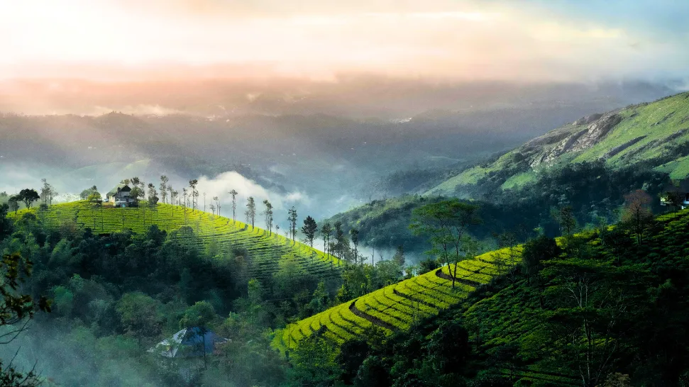 Munnar is One of The Best Places to Visit in Summer in India with Family
