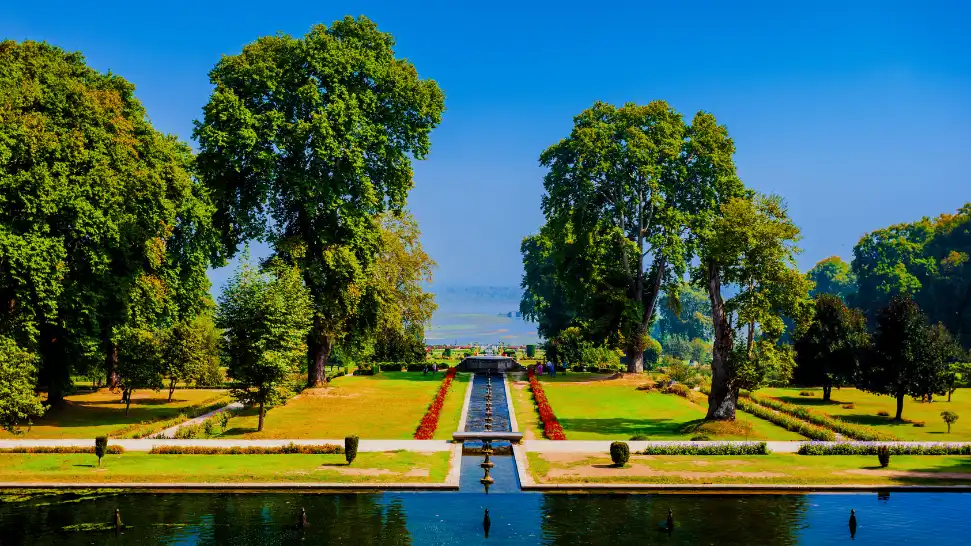 One of The Best Places to Visit in Summer in India with Family