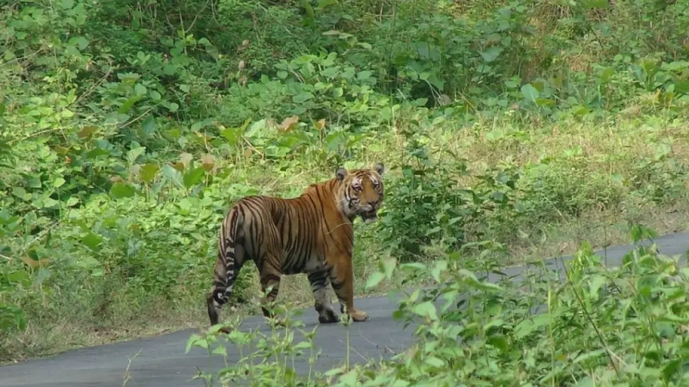 Best Places To Visit In Tamil Nadu