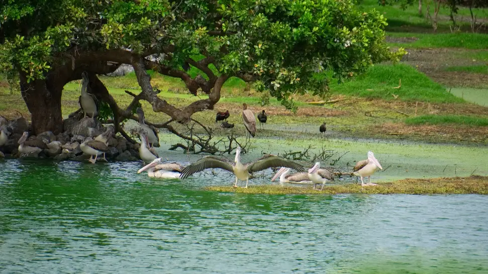 Best Places To Visit In Tamil Nadu