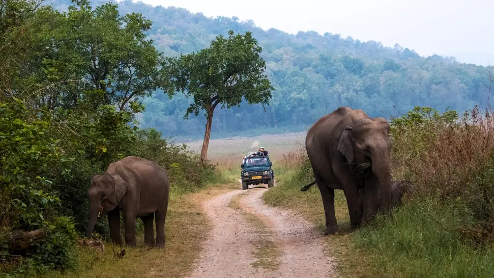 Jim Corbett is one of the best Weekend Getaways From Delhi