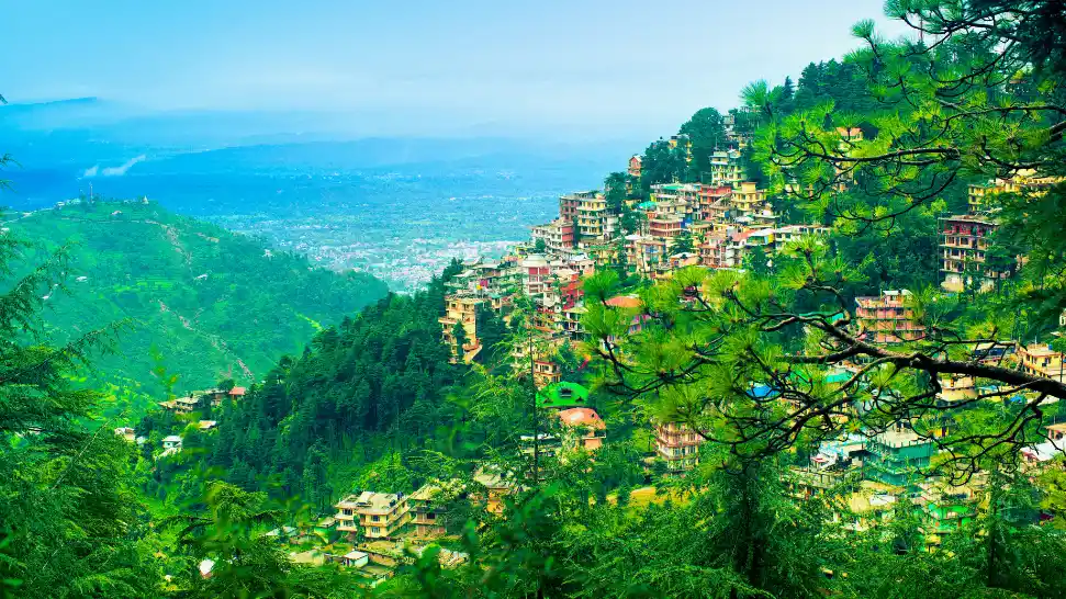 Dharamshala Is One of The Best Places to Visit in Near Delhi in March