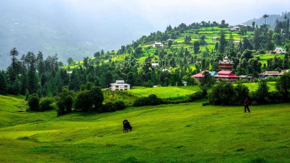Lush forests and alpine landscapes in Great Himalayan National Park