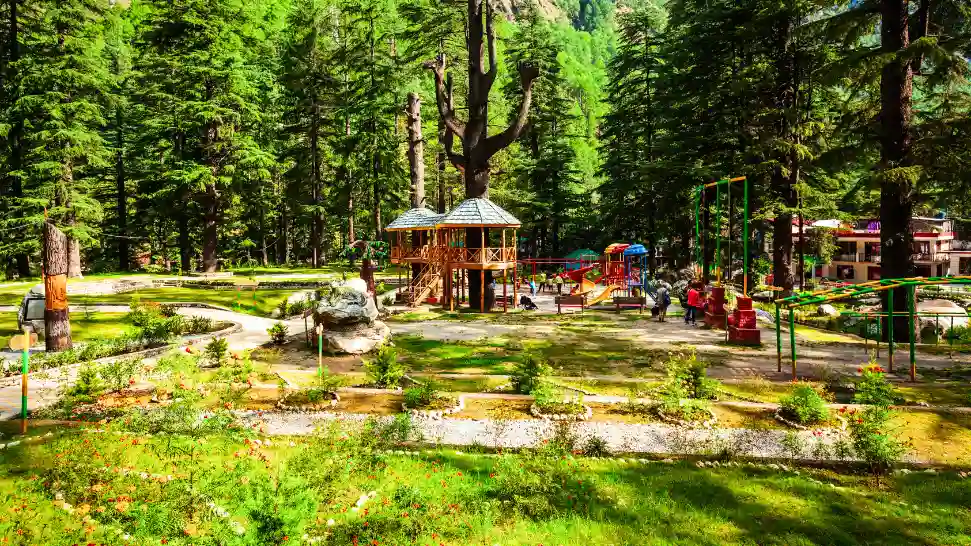 Pine trees and walking trail inside Kasol Nature Park
