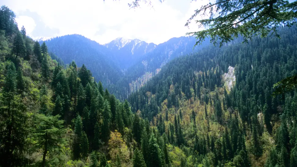 Great Himalayan National Park is one of the best places to visit near manali