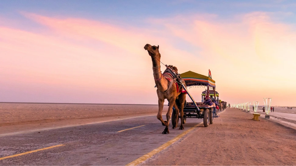 Ahmedabad To Kutch is One of The Best Road Trip in India