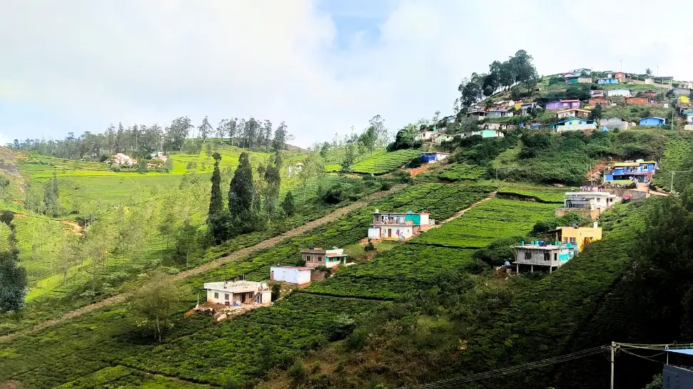 Bangalore To Ooty is One of The Best Road Trip in India