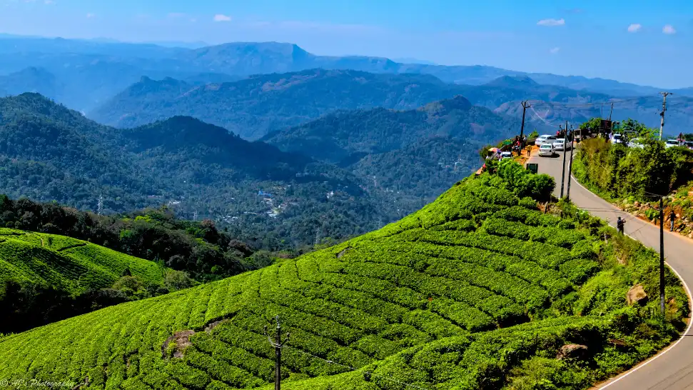 Bangalore To Munnar is One of The Best Road Trip in India