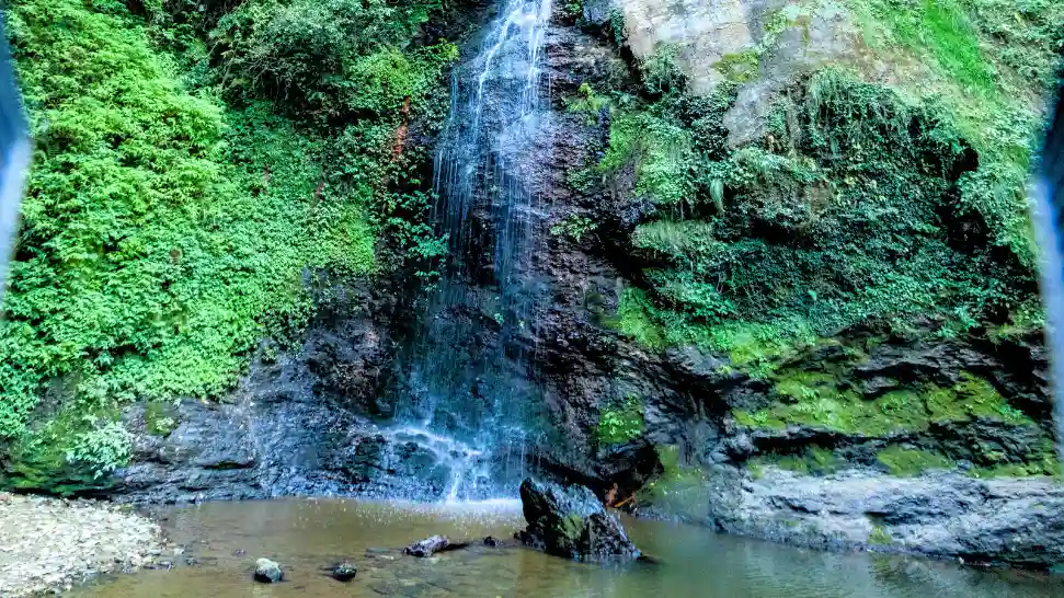 Chadwick Waterfall is One of the best places to visit in Shimla In December